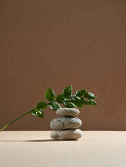 Stones stack, green plant sprig, natural pedestal for organic cosmetics on beige. Spa beauty products presentation