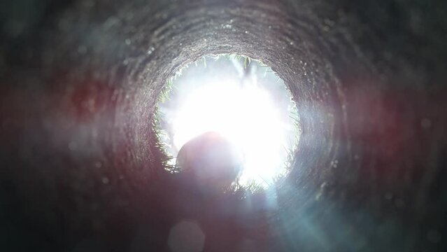 Super slow motion of golf ball falls into the hole at the camera, view inside the hole close-up. Filmed on high speed cinematic camera at 1000 fps.