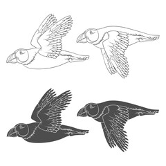 Set of black and white illustrations with flying puffin bird. Isolated vector objects on a white background.