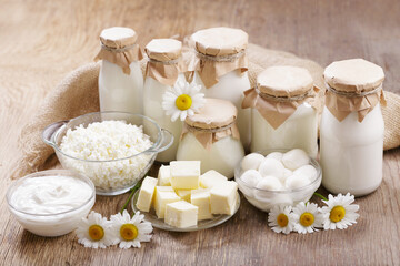 Dairy products. Bottles of milk, cheese, cottage cheese, yogurt, butter