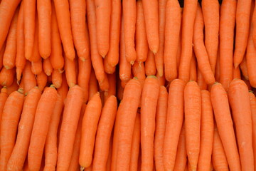 carrots on the market,havuç , sebze,sulu sebze, bitki, gıda, tarım, besin, yiyecek,vitamin