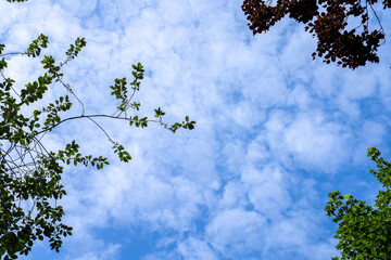Fototapeta premium Himmel