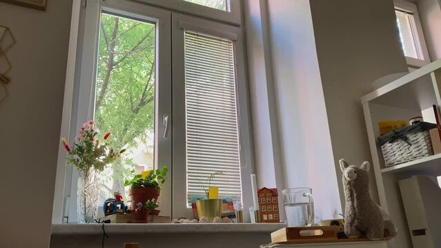 Morning view from the window of a tidy student room with decorations and flowers. The view from the bed. Flat.