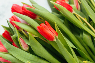 Naklejka premium Red tulips on a marble background. Beautiful flowers on the table