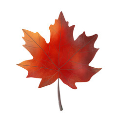 Bright autumn leaf. Cartoon style. Vector design.