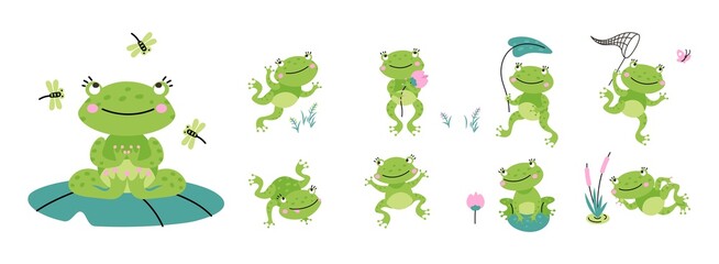 Cute green frogs. Croaking frog on nature, cartoon toad with lotus and leaves. Kids tropical amphibian, isolated jumping relaxing quirky nowaday vector animal