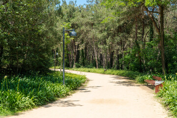 Ataturk kent ormani in Istanbul. Ataturk City Forest. Green spaces in Istanbul city. Green parks or...