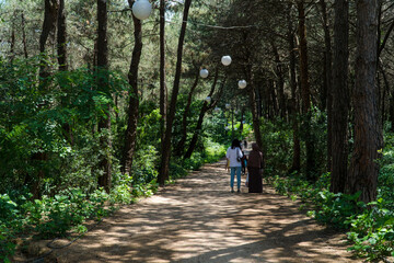 Obraz premium Ataturk kent ormani in Istanbul. Ataturk City Forest. Green spaces in Istanbul city. Green parks or recreational areas in city.