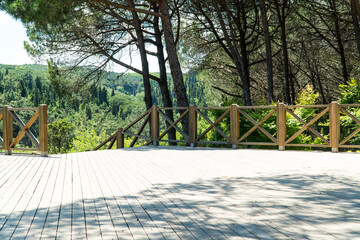 Ataturk kent ormani in Istanbul. Ataturk City Forest. Green spaces in Istanbul city. Green parks or...