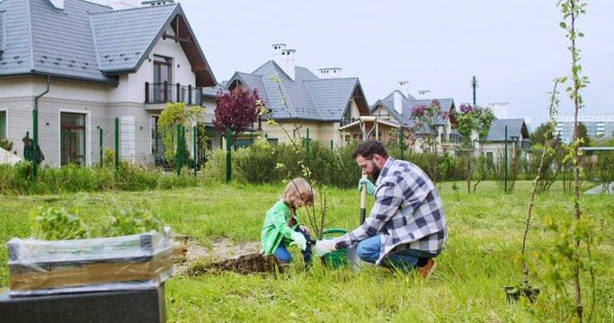 Cute little Caucasian boy digging hole in ground and helping his son in planting tree in garden. Trees plant concept. Daddy with small son in orchard. Summerhouse work. Weekend with dad.