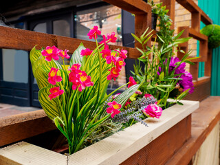 Colorful exotic flowerbed in town environment. Lush flowers on a city street for decoration and creating atmosphere and positive mood.