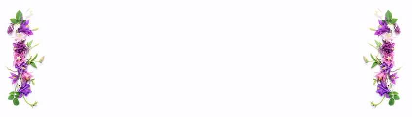 Long banner. Festive floral background. floral layout from pink and violet flowers of aquilegia on a white background isolated. Top view, flat lay.