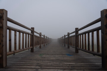 Fototapeta premium boardwalk in the beach