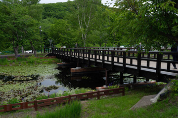 Fototapeta premium bridge over the river