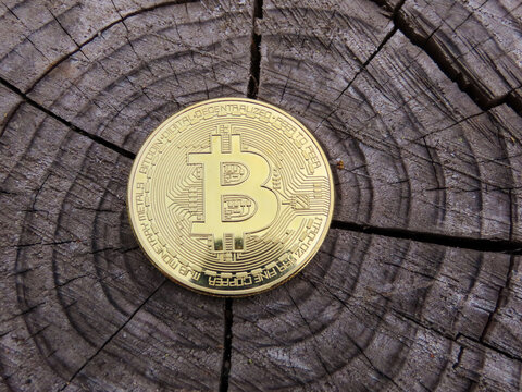 Bitcoin dorée sur un tronc d’arbre