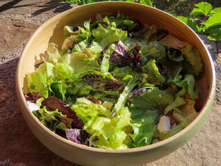 Salade verte dans un bol