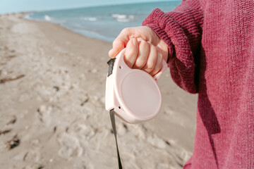 Master walking a dog at the seaside