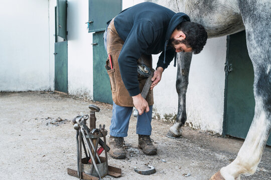 Farrier shoeing horse outside barn