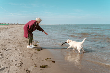 Master teaching the puppy the Fetch command