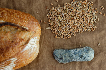 Stone-age knife, bread, and wheat on the linen tablecloth.