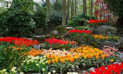Obraz premium Garden Background Very Cool