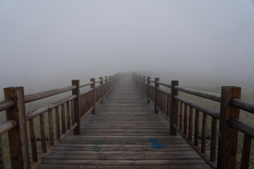 Obraz premium pier in the fog