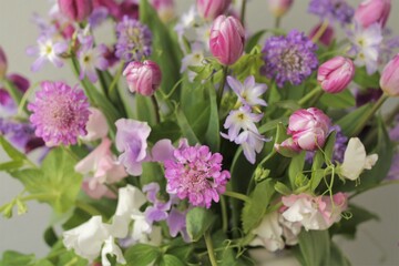 スプリングパープル