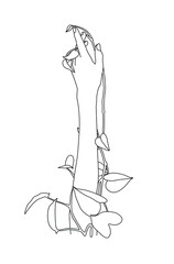 Female hand holding beautiful flowers. elegant woman hand isolated. Happy international women's day. Girl power. Feminism. Women's hands in a minimal linear style. Growth concept vector illustration.
