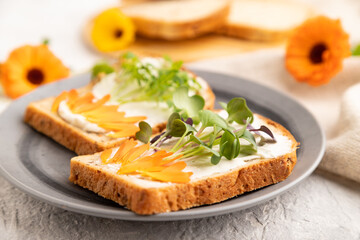 White bread sandwiches with cream cheese, calendula and microgreen on gray. side view, selective focus.