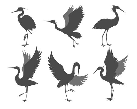 Heron poses silhouettes