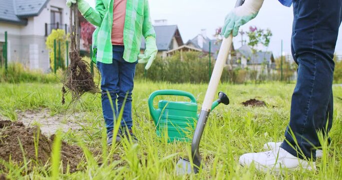 Close up of digging hole in ground for tree. Little cute Caucasian boy helping his grandfather in planting trees in garden on summer day. Small boy helping to grandpa in orchard. At summerhouse.