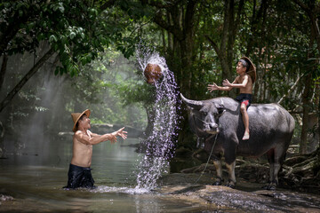 Little boy bathing his buffalo in the river Khong in   LAOS  on May 4, 2022