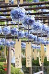 涼しい音を奏でる風鈴
