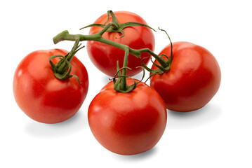 Sicilian Smooth Round Tomato Coppery in Clusters isolated on white, clipping path incluted