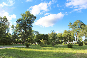 Fototapeta na wymiar Recreation area in Natalka park in Kyiv, Ukraine