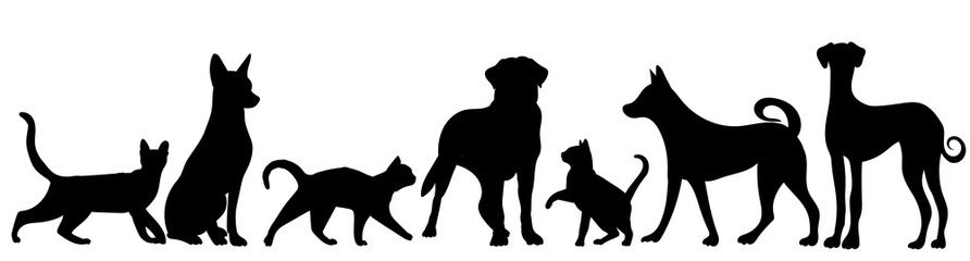 dogs and cats silhouette on white background, isolated, vector