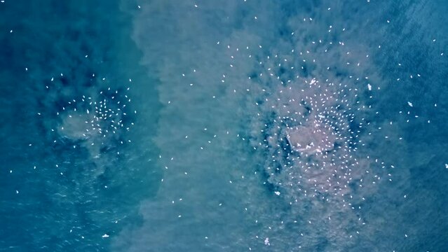 Aerial photography of the release of underwater sewage into the sea. The sea looks into our eyes. The camera slowly pans up from where two eye-like geysers of dirty water rise from the depths.
