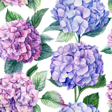 Seamless patterns of branches of hydrangea flower and leaves on an isolated background. Watercolor flowers
