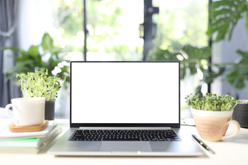 Laptop and vegetable in a pot indoor garden work from home