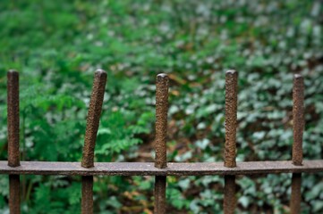 Close up of fence on green natural background copy space. High quality photo