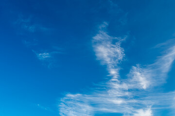 Fototapeta na wymiar beautiful cirrus white clouds in the blue sky