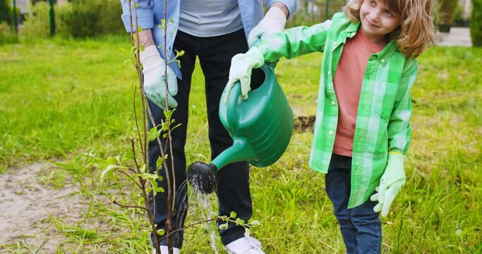 Close up of old grandfather teaching little cute grandson watering planted small tree at summerhouse. Kid with grey-haired grandpa planting trees and water with pot. Spring work in orchard.