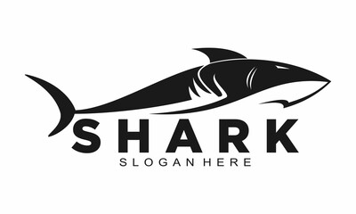 Elegant shark illustration logo design