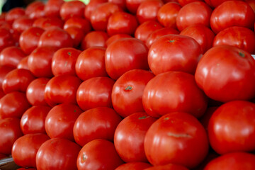 A harvest of large fresh organic tomatoes stockpiled in a crop bunch for sale at a farmers' market. The raw tomatoes are stacked exposing the bright red color of the vegetables with smooth shiny skin.