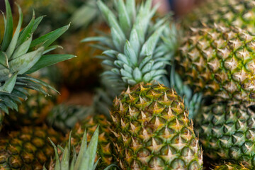 A pile of raw and ripe whole pineapples at a market. The whole tropical fruit has thick green waxy...