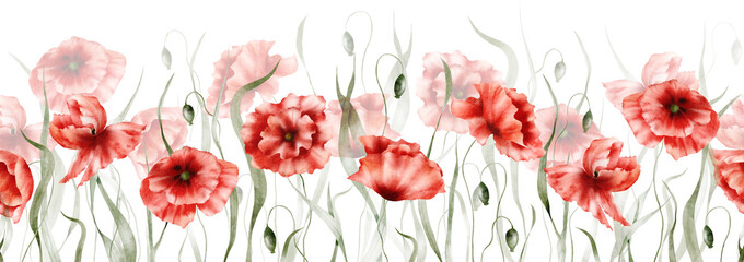 Watercolor floral seamless border– Poppies, Red poppy flowers, Wildflowers, Botanic summer illustration isolated on white background, Hand painted floral background, Botanical collection of garden 