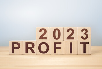 Business profit plan concept in 2023 . Hand flip wooden cubes 2022 to 2023 with text profit. Business performance target in 2023. Business development to success and growing growth year 2022 to 2023