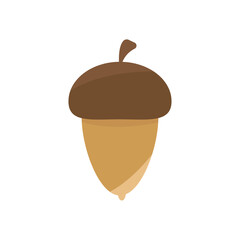 Vector oak acorn illustration isolated on white autumn element