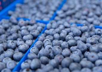 blueberries