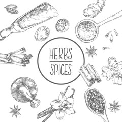 Hand drawn vector condiment flavour image template